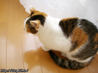 d051123d.jpg