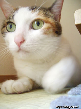d050817g.jpg