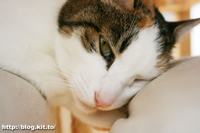 d061028g.jpg