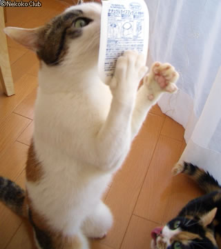 d050406e.jpg
