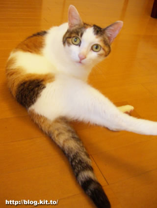 d060701b.jpg