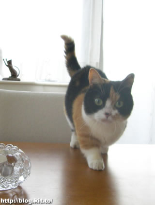 d060312h.jpg