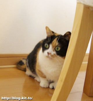 d060428n.jpg