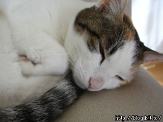 d060224d.jpg