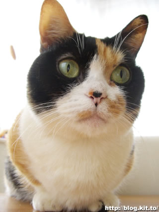 d060329d.jpg