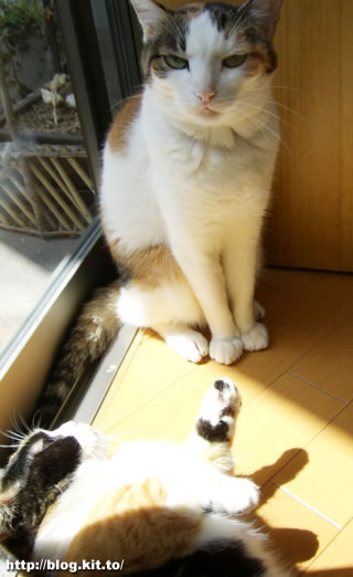 d060331k.jpg