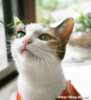 d060912i.jpg