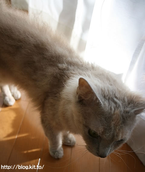 みんな4