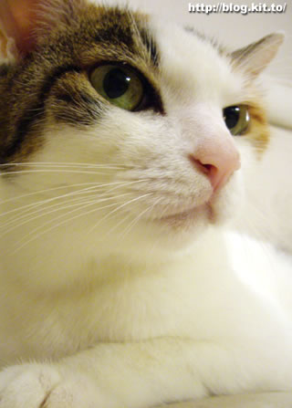 d060906c.jpg