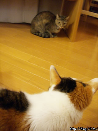 d060207h.jpg