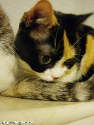 d060523b.jpg