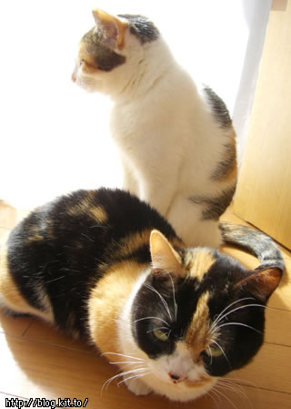 d060224l.jpg
