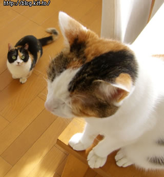 d051112c.jpg