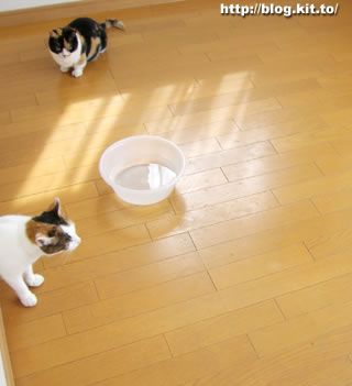 d060716b.jpg
