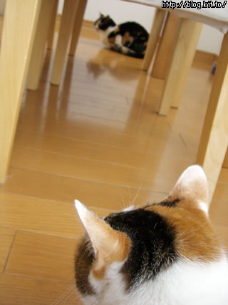 d051123e.jpg