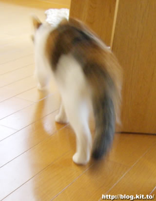 d060428a.jpg