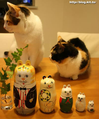 d061121a.jpg