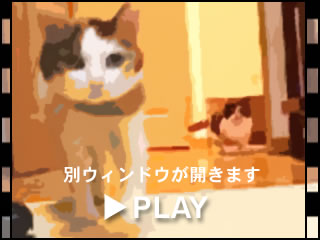 d051112e.jpg