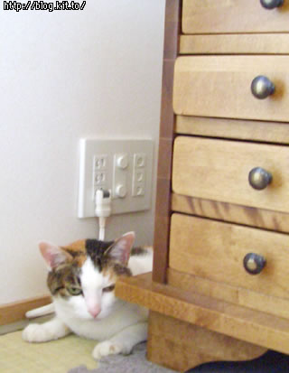 d050817e.jpg