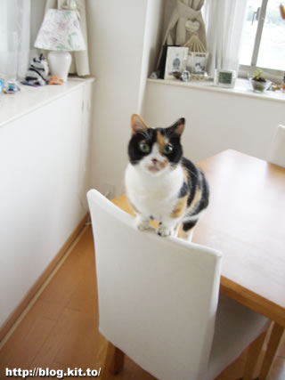 d060621a.jpg