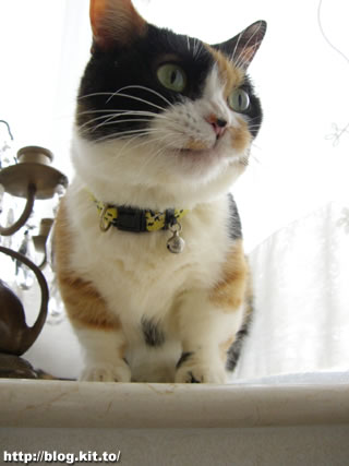 d060406a.jpg