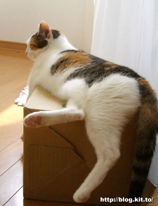d060718b.jpg