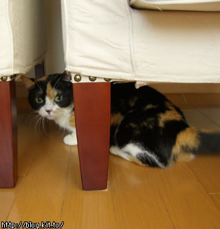 d051027n.jpg