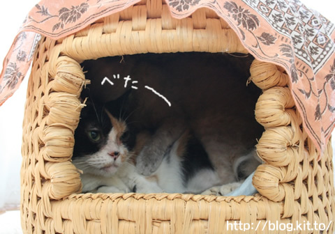すりすり