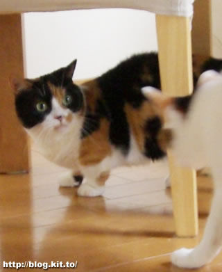 d060607d.jpg