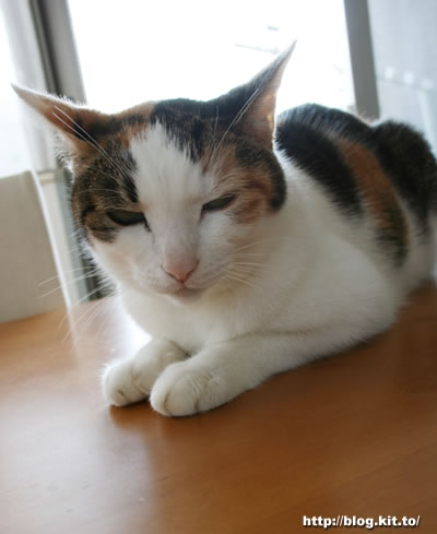 d061024m.jpg