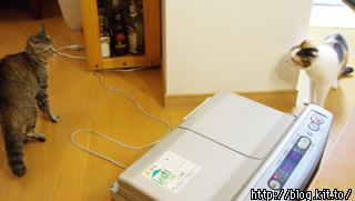 d060207k.jpg