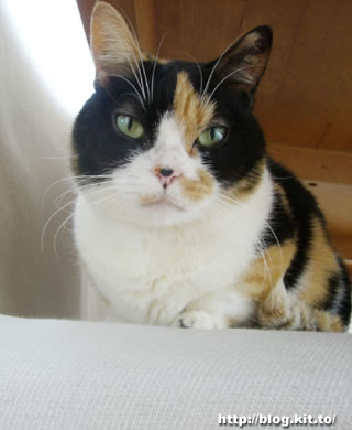 d060312d.jpg