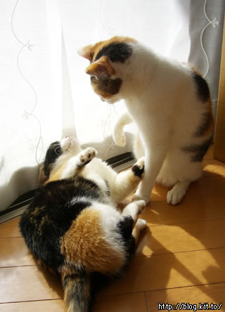 d060224q.jpg