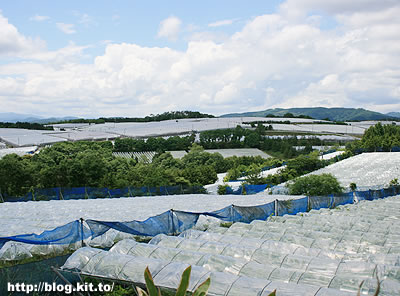d070909f