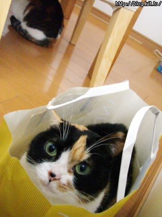 d060215r.jpg