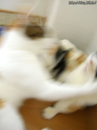d051007b.jpg