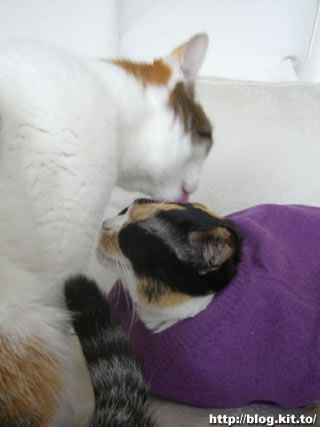 d060309k.jpg