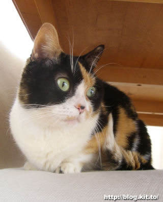 d060313b.jpg