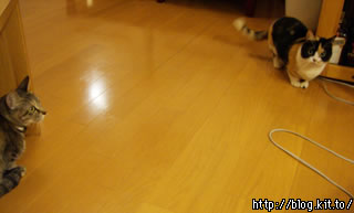d060207f.jpg