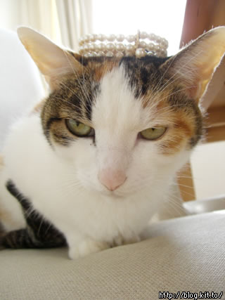 d051125a.jpg