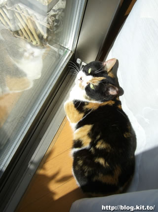 d060325a.jpg
