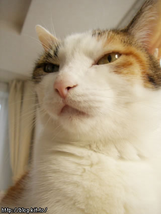 d051213d.jpg