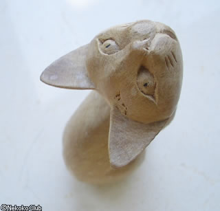 d050527c.jpg