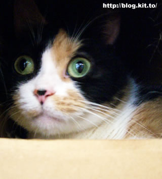 d060826f.jpg