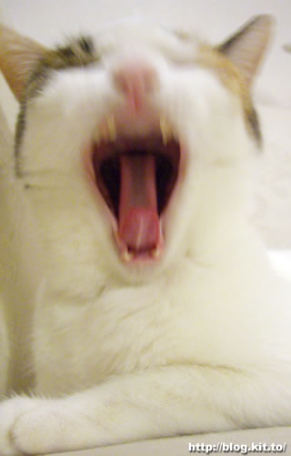 d060906e.jpg