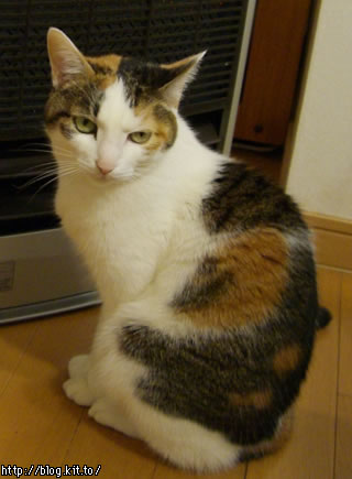 d060104g.jpg