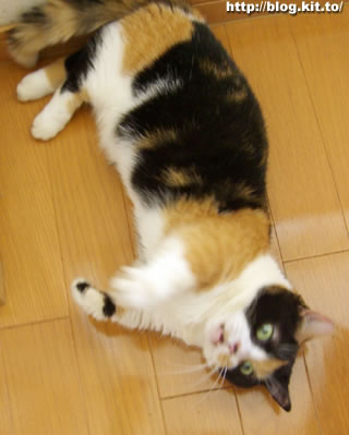 d060817i.jpg