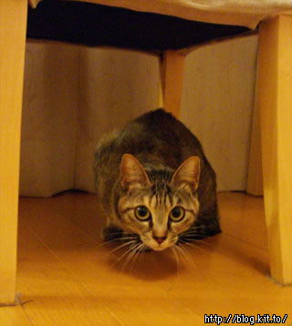 d060207c.jpg