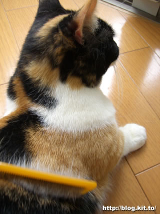 d060609d.jpg