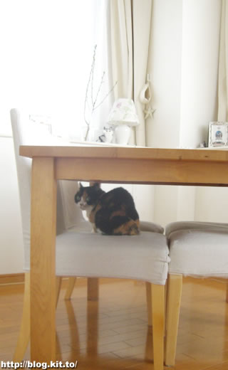 d060313a.jpg